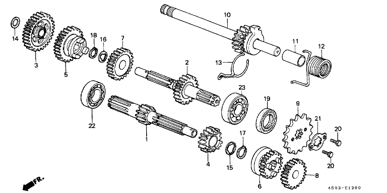 TRANSMISSION (1)