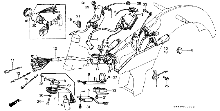 WIRE HARNESS (1)