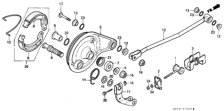 REAR BRAKE PANEL (RF/RG/RH/RJ/RK)