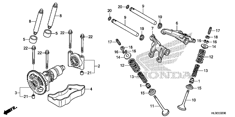 CAMSHAFT/VALVE