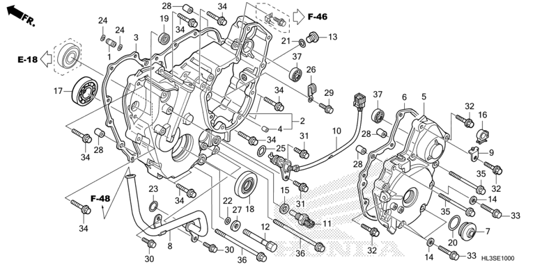 REAR CRANKCASE COVER