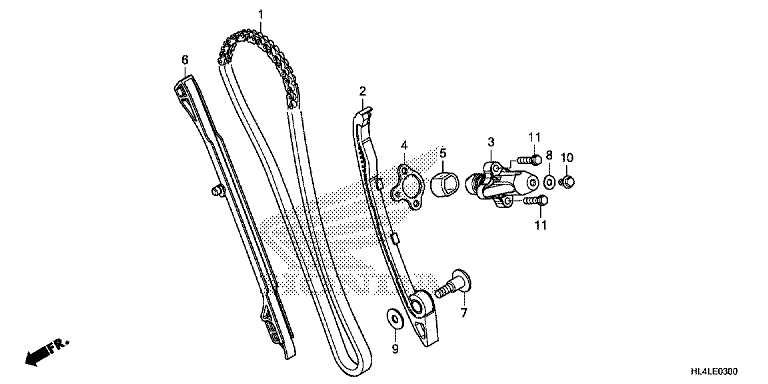 CAM CHAIN/TENSIONER