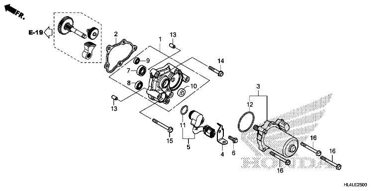 CONTROL MOTOR