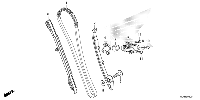 CAM CHAIN/TENSIONER