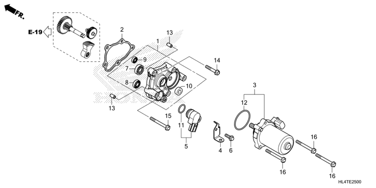 CONTROL MOTOR