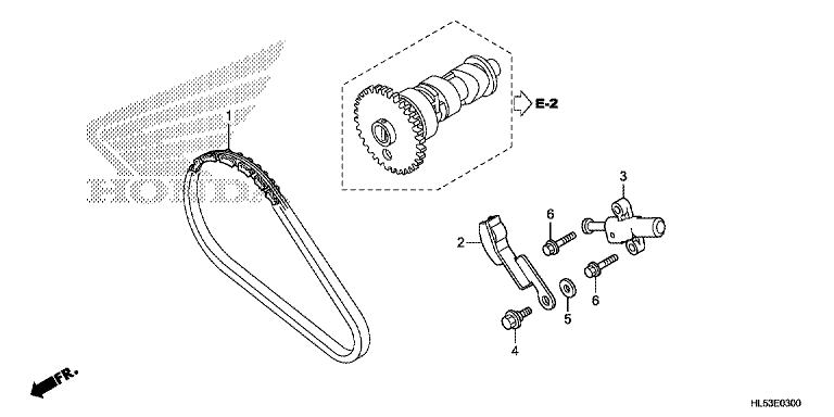CAM CHAIN/TENSIONER