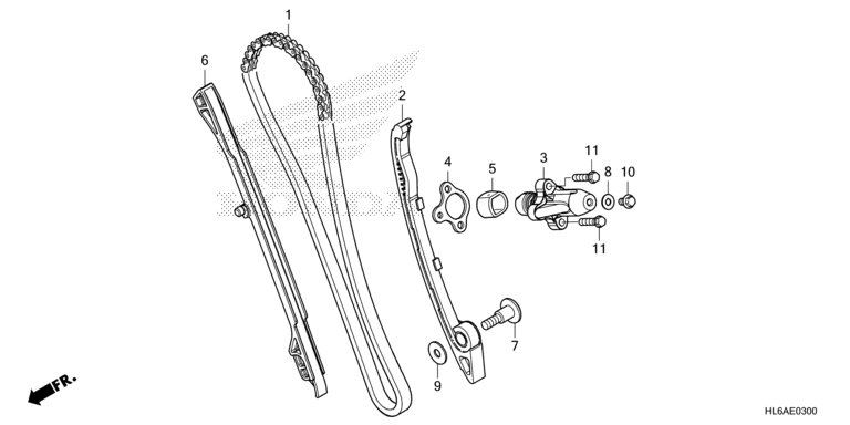 CAM CHAIN/TENSIONER