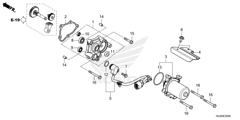 CONTROL MOTOR