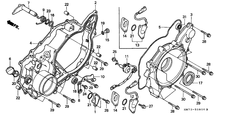 REAR CRANKCASE COVER