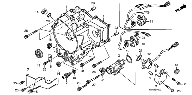 REAR CRANKCASE COVER