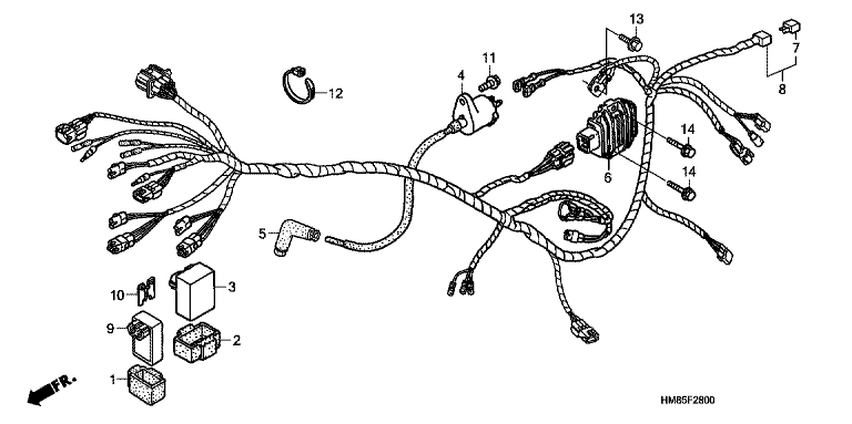 WIRE HARNESS (TRX250TM)