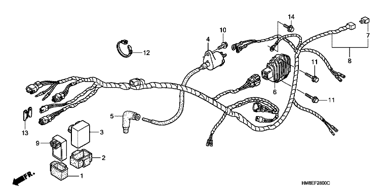 WIRE HARNESS (TRX250TM)