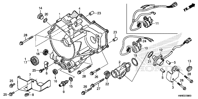 REAR CRANKCASE COVER