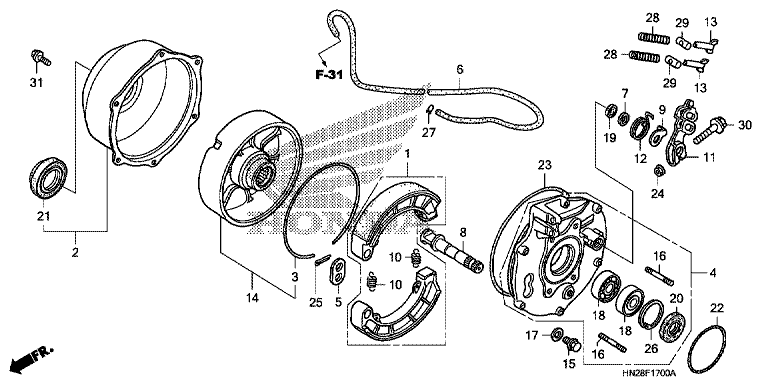 REAR BRAKE PANEL