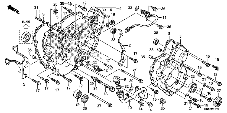 REAR CRANKCASE COVER