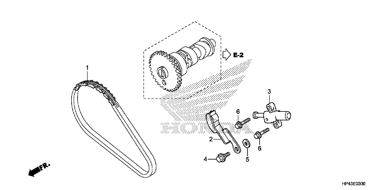 CAM CHAIN/TENSIONER