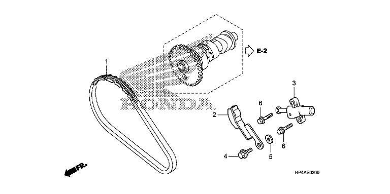 CAM CHAIN/TENSIONER