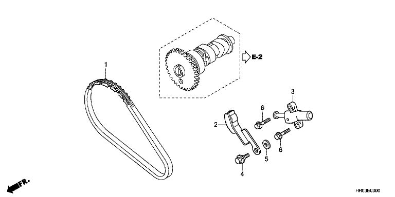 CAM CHAIN/TENSIONER