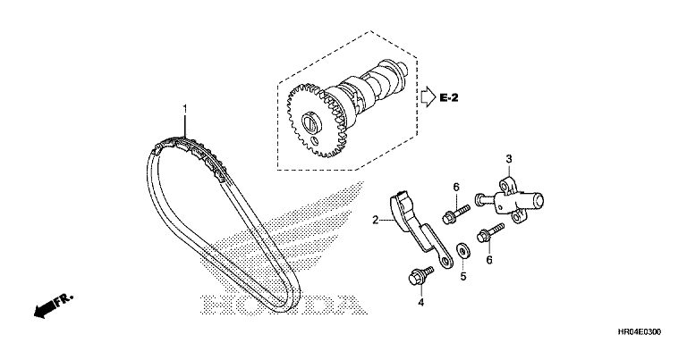CAM CHAIN/TENSIONER
