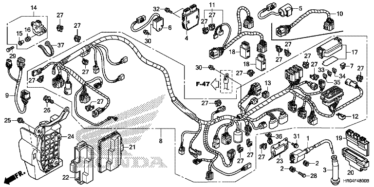 WIRE HARNESS