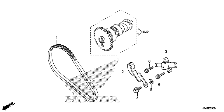 CAM CHAIN/TENSIONER