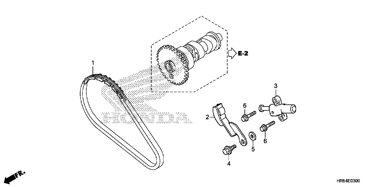 CAM CHAIN/TENSIONER