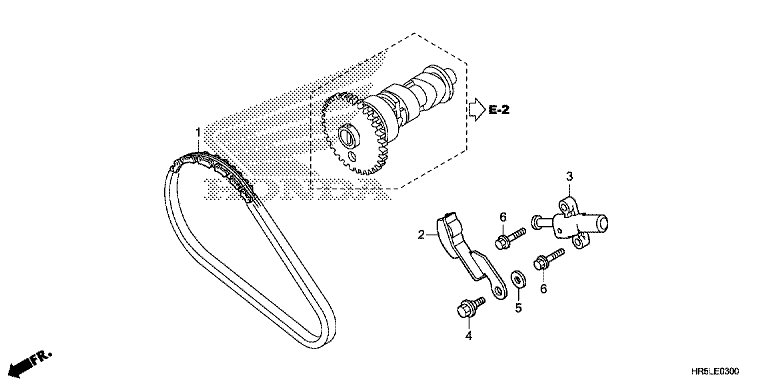 CAM CHAIN/TENSIONER