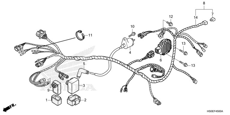 WIRE HARNESS (TRX250TM1/TM)