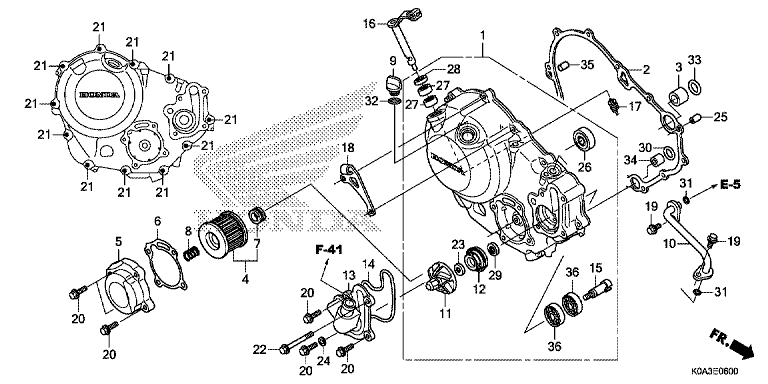 RIGHT CRANKCASE COVER
