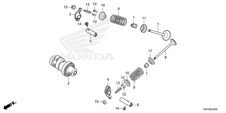 CAMSHAFT/VALVE