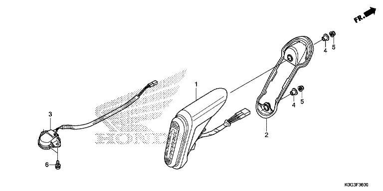 TAILLIGHT/LICENSE LIGHT