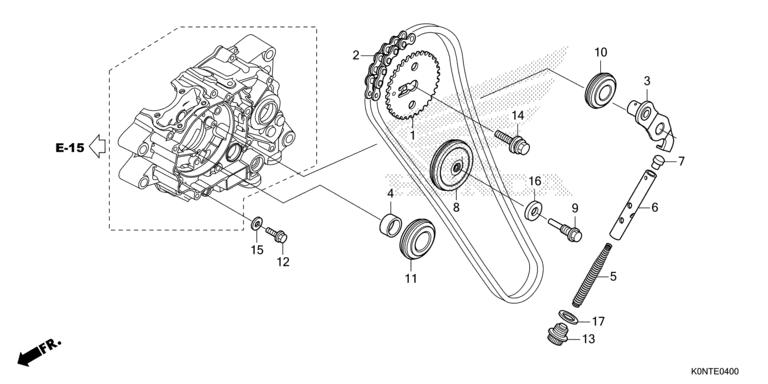CAM CHAIN/TENSIONER