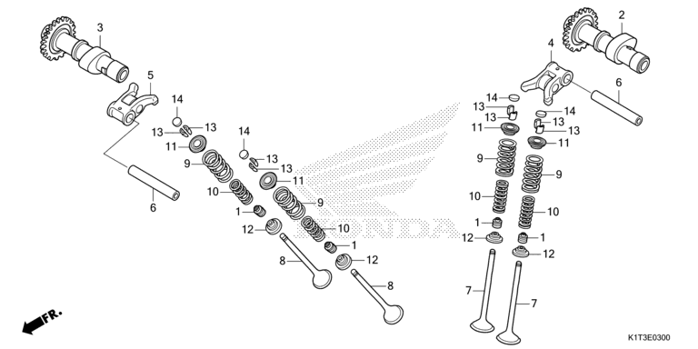 CAMSHAFT/VALVE