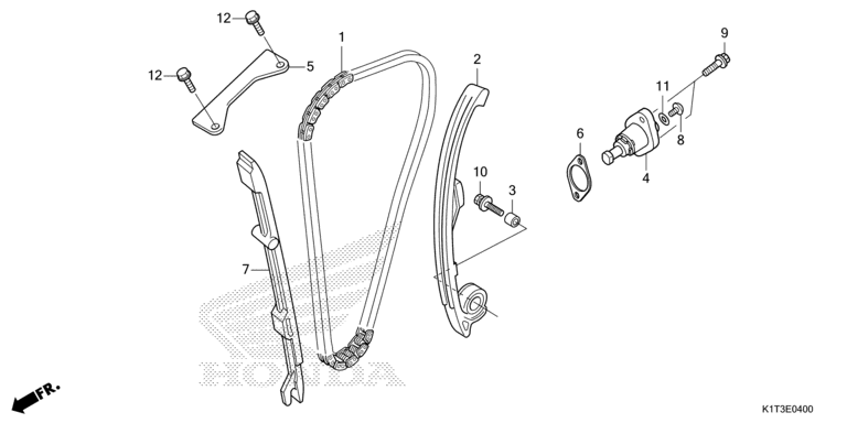 CAM CHAIN/TENSIONER
