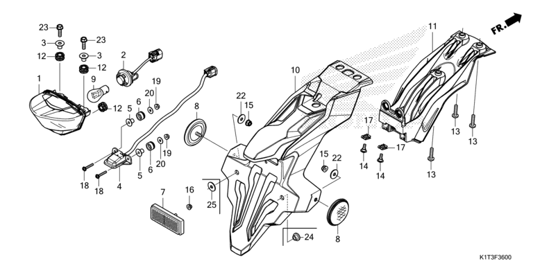 TAILLIGHT/LICENSE LIGHT