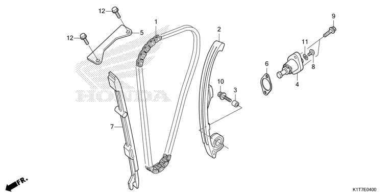CAM CHAIN/TENSIONER