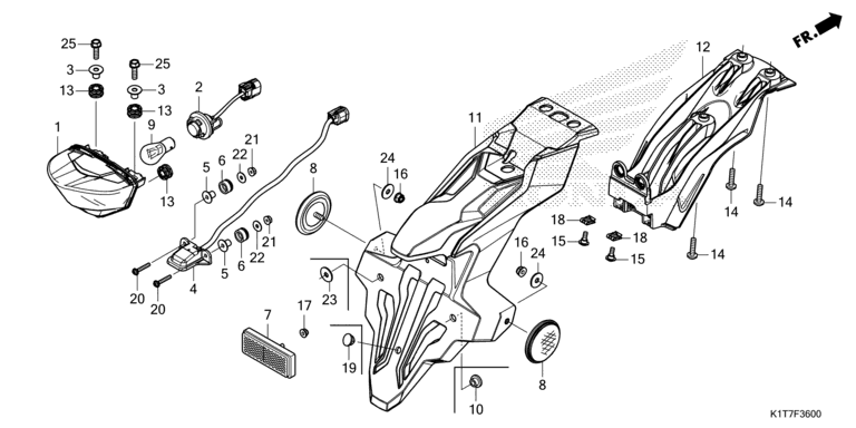 TAILLIGHT/LICENSE LIGHT