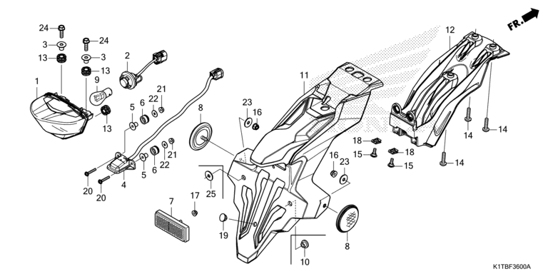 TAILLIGHT/LICENSE LIGHT