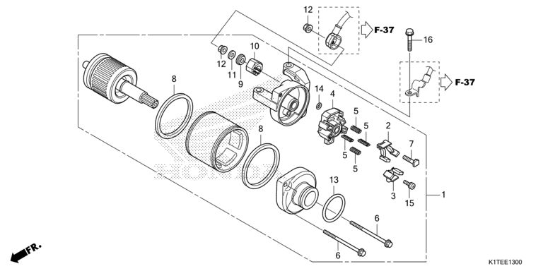 STARTER MOTOR
