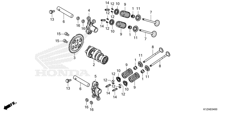 CAMSHAFT/VALVE