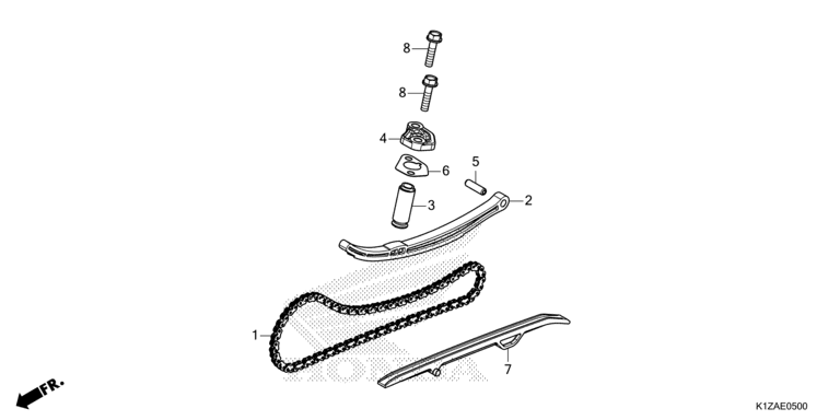 CAM CHAIN/TENSIONER