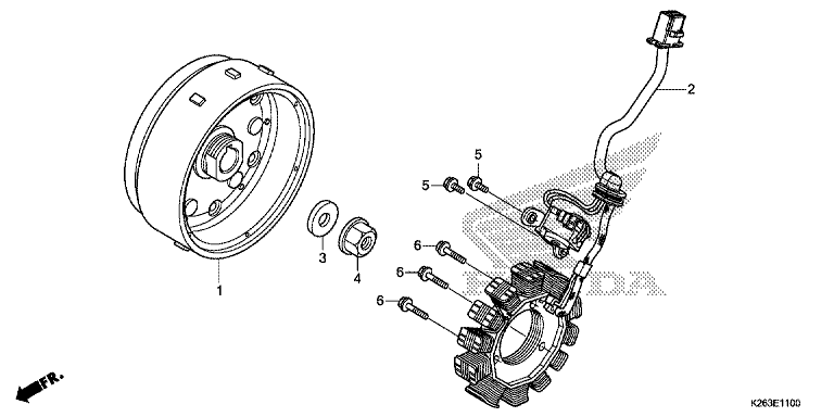 GENERATOR/FLYWHEEL