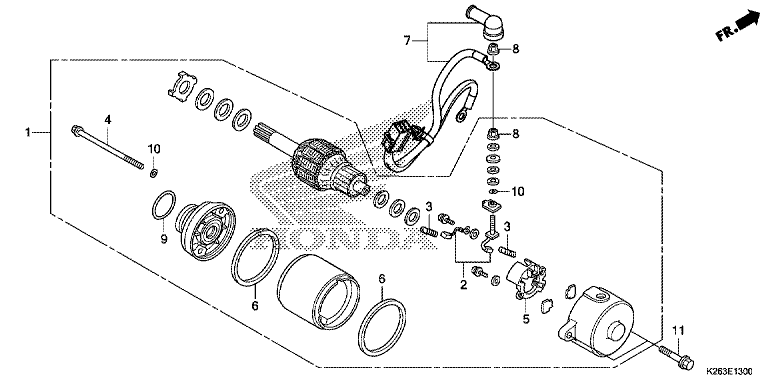 STARTER MOTOR