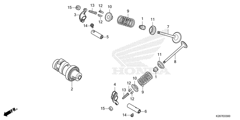 CAMSHAFT/VALVE