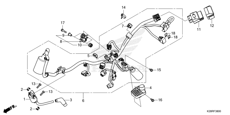 WIRE HARNESS