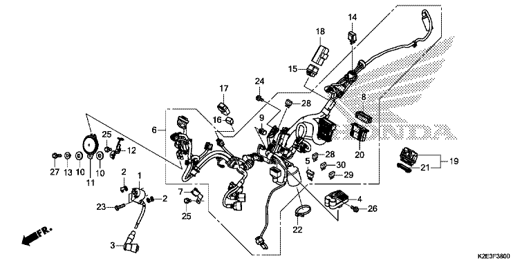 WIRE HARNESS