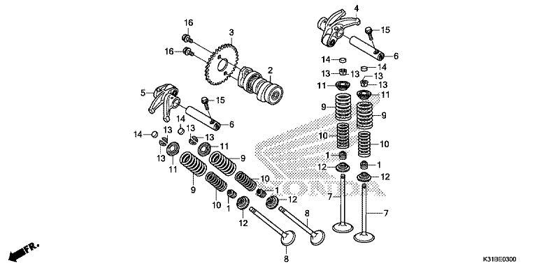 CAMSHAFT/VALVE