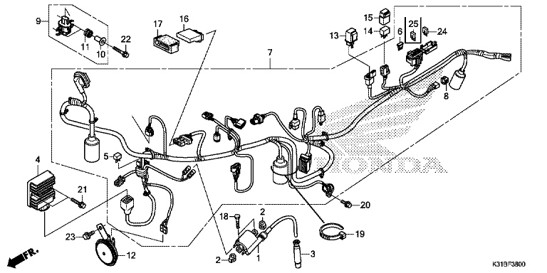 WIRE HARNESS