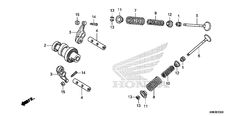 CAMSHAFT/VALVE