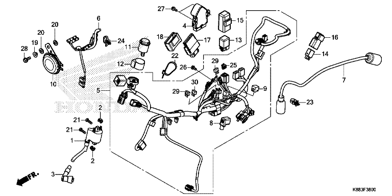 WIRE HARNESS